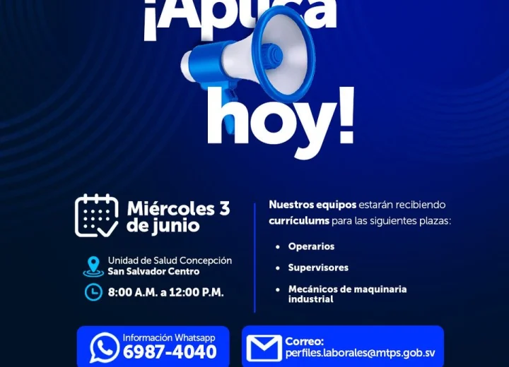 Infografía muestra secciones de estudios en un CV, con consejos prácticos para ordenar y destacar la formación académic…