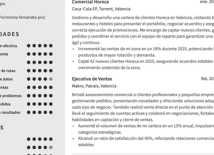 Incluir un resumen profesional dirigido a la oportunidad de empleo en San Miguel